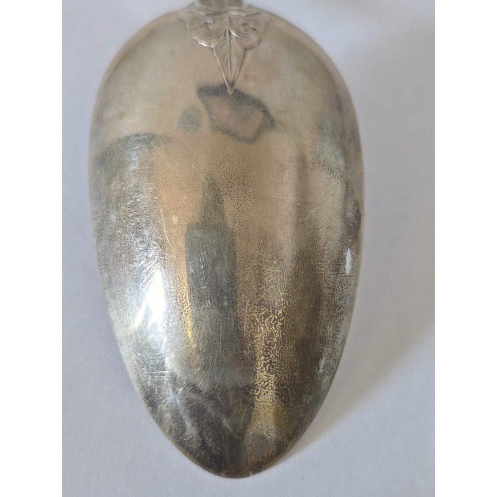 Antique E.A. Tyler New Orleans Henry Hebbard Ivy Mask Coin Silver Serving Spoon - Picture 5 of 13